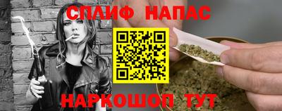 спиды Моздок