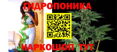 спиды Моздок