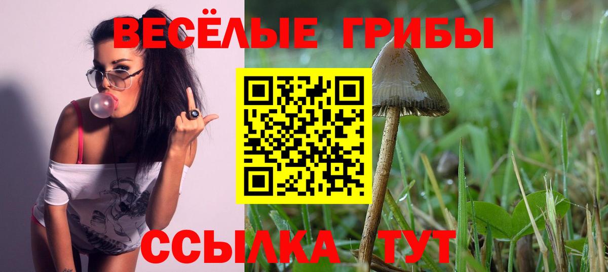Галлюциногенные грибы мицелий Черногорск