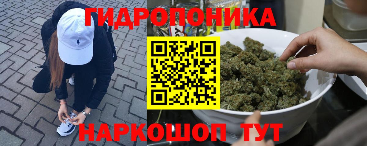 Бошки марихуана ГИДРОПОН Черногорск